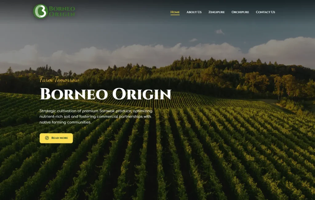 Borneo Origin